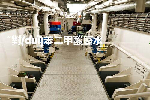 “對(duì)苯二甲酸廢水處理，綠色創(chuàng)新引領(lǐng)環(huán)保新篇章”